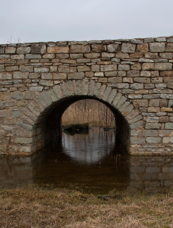 _MG_3193.jpg