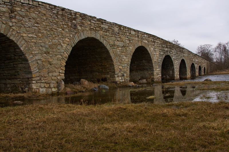 _MG_3195.jpg