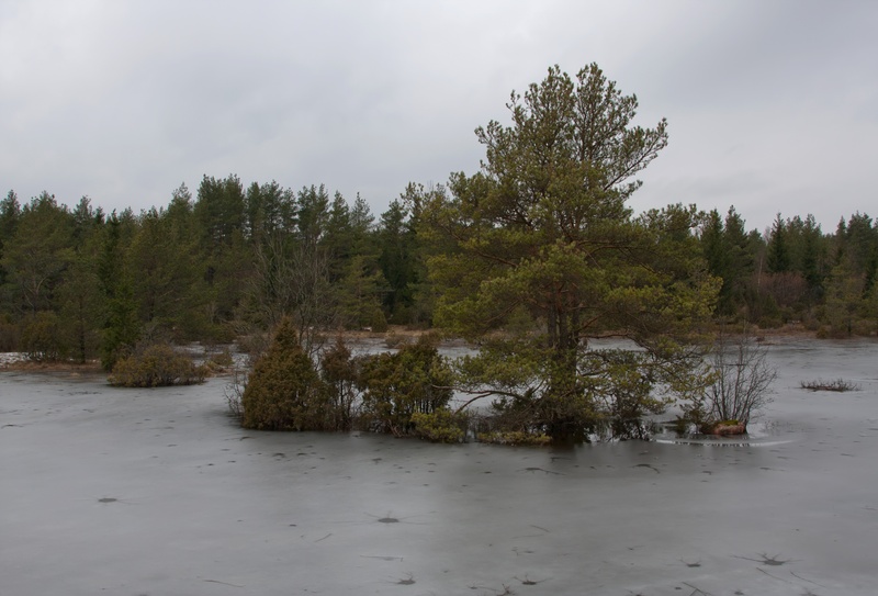 _MG_3209.jpg