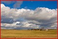 _MG_3584.jpg