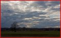 _MG_3645.jpg