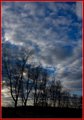_MG_3658.jpg