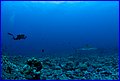 028 ZD6X7874.jpg