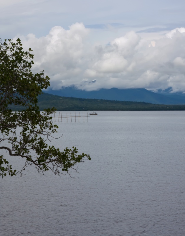 _MG_5086.JPG