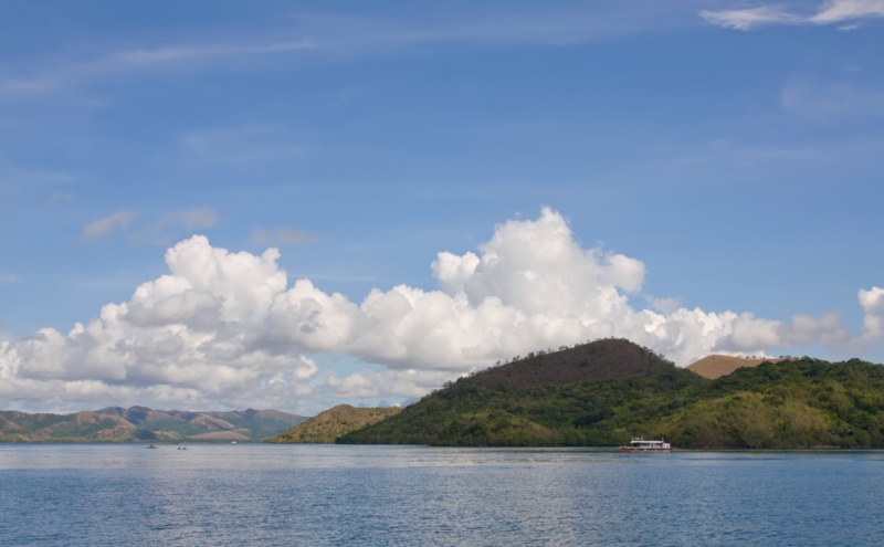 _MG_5246.jpg
