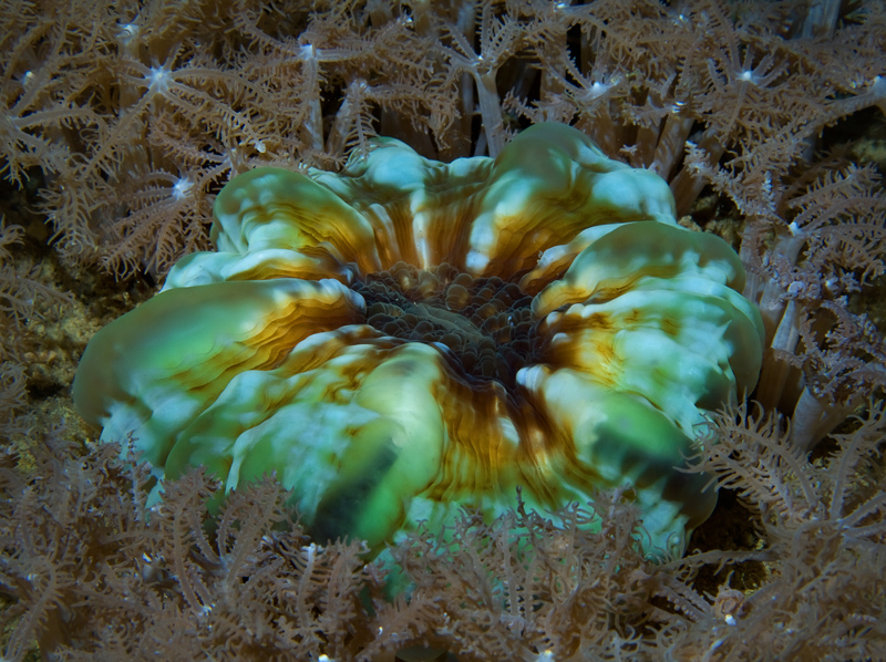 170 ZD6X1365.jpg