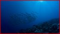 029 ZD6X0071.jpg