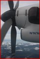 Phillipini 001.jpg
