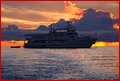 Phillipini 096.jpg
