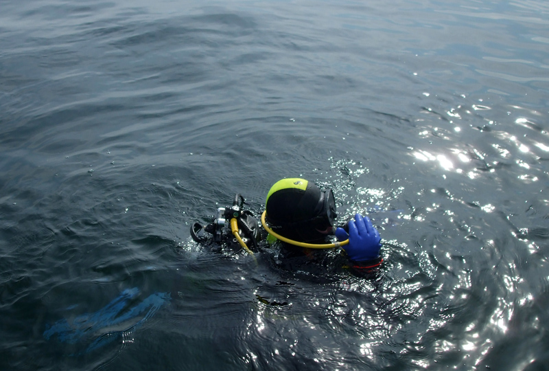 DSCF2906.jpg