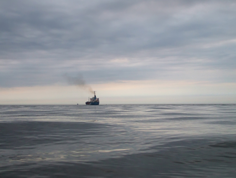 DSCF2938.jpg