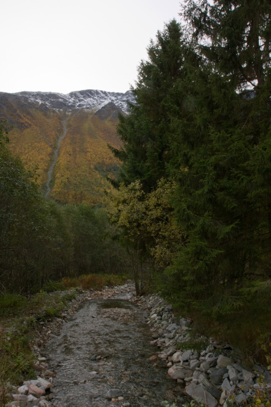 IMG_6550.jpg