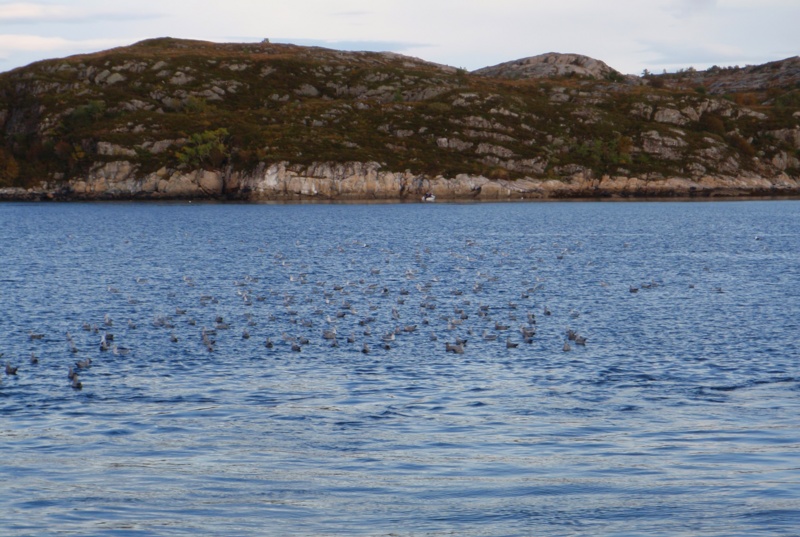 PA010109.JPG