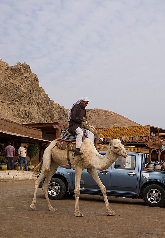 IMG_7164 copy.jpg