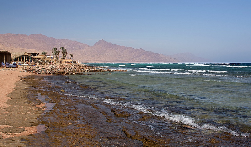 IMG_7203 copy.jpg