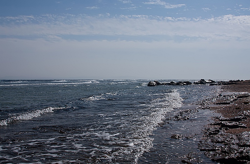 IMG_7207 copy.jpg