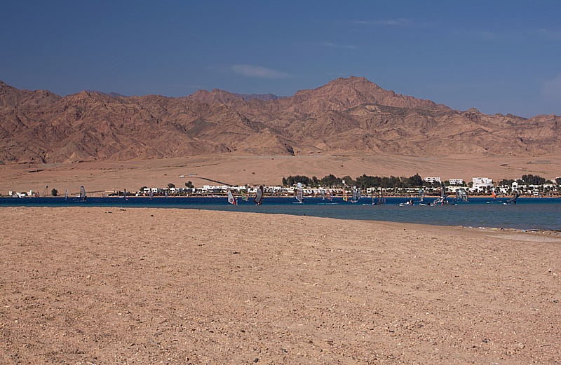 IMG_7247 copy.jpg
