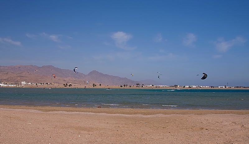 IMG_7274 copy.jpg