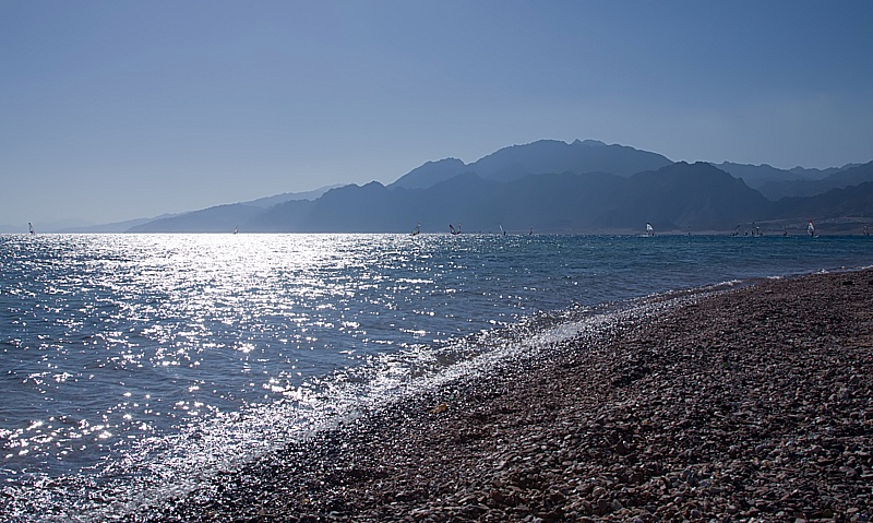 IMG_7298 copy.jpg