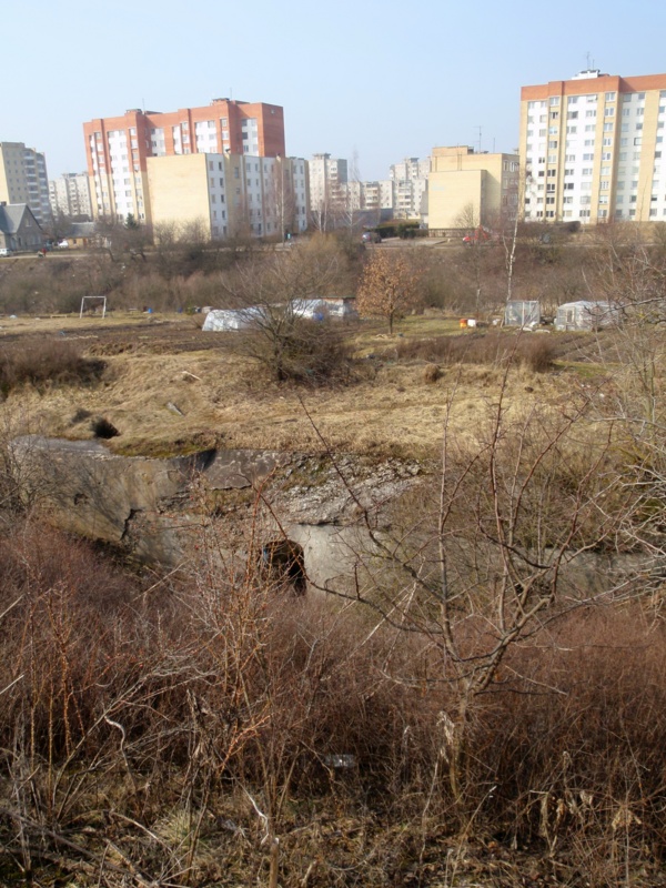 P3170130 copy.jpg