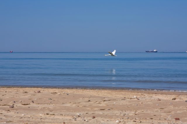 _MG_0650 copy.jpg