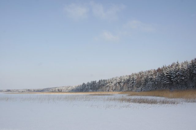 _MG_2063.JPG