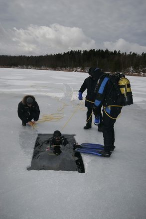 _MG_1988.JPG