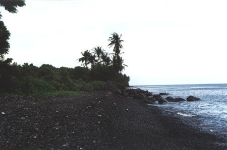 87 - Tulamben - Wild Beach