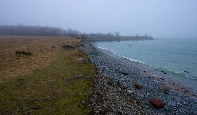 _MG_2992.jpg