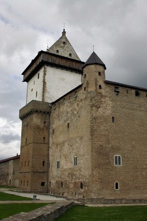 IMG_2419