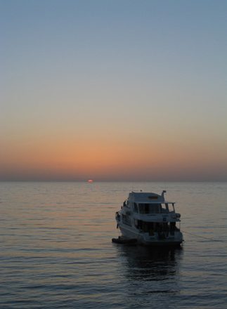 IMG_6719