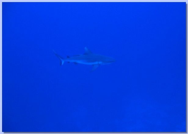IMG_1180.jpg