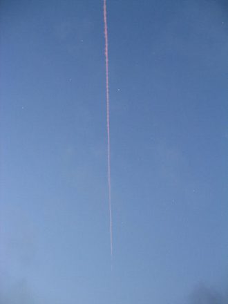 IMG_9231