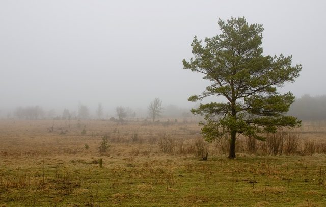 _MG_3010.jpg
