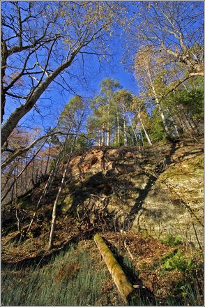 _MG_8282.JPG