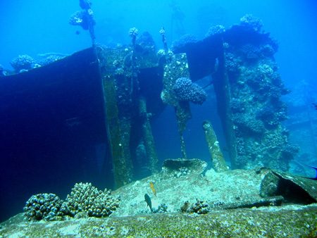 Wreck 7