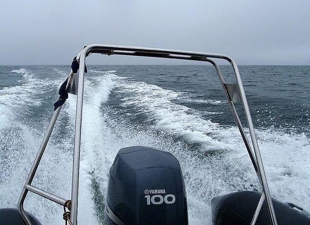 P6110377.JPG