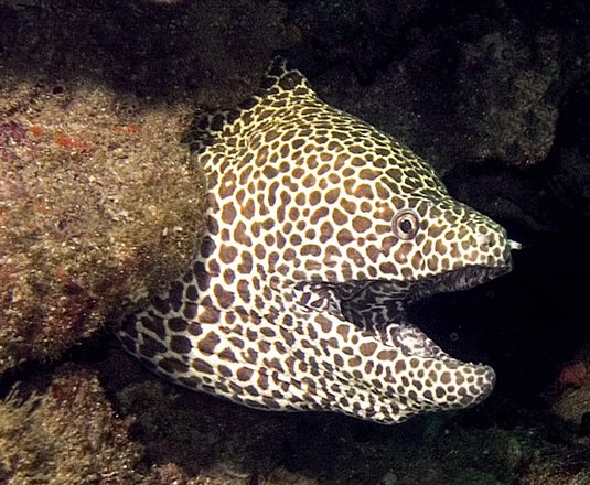 CRW_4442.jpg