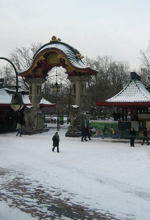 IMG_5178.JPG
