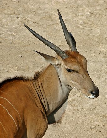 IMG_3445.jpg