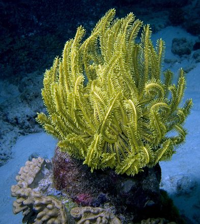 CRW_4908.jpg