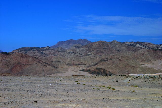 IMG_7511.jpg