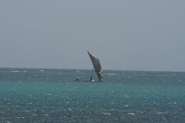 IMG_0241.jpg