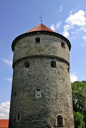 IMG_2600