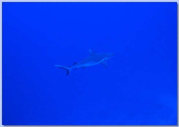 IMG_1182.jpg