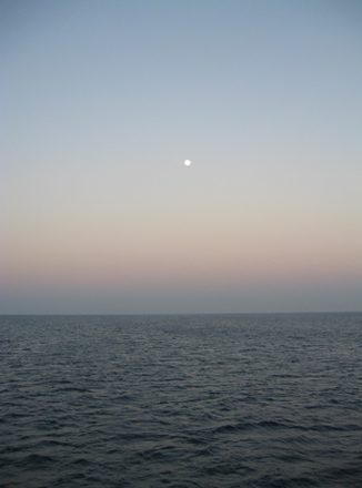IMG_6304