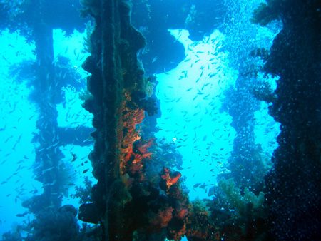 Wreck 11