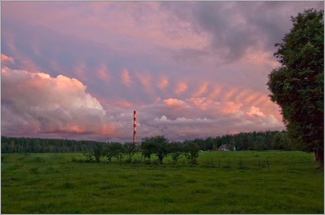 _MG_5519.jpg