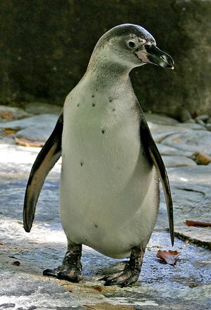 IMG_3937.jpg