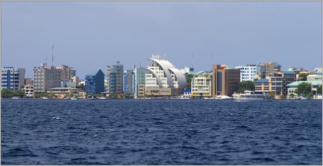 _MG_4951.jpg